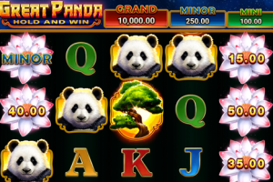 Great Panda : Hold and Win