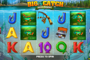 Big Catch Bass Fishing