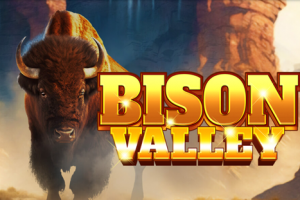 Bison Valley